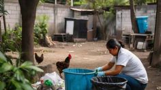 ¿Qué pasa si no separas la basura en Tepic? multas y sanciones que debes conocer