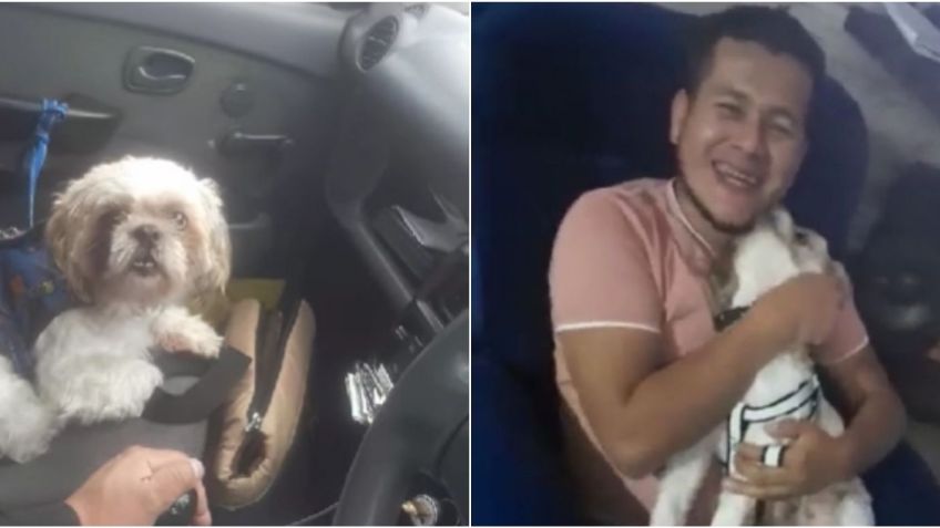 "Si se pone gruñón ponle pechera": la carta de despedida a un perrito abandonado en taxi, conductor termina adoptándolo