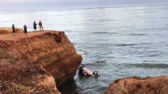 IMÁGENES FUERTES: Se tira con sus dos gemelas por un barranco para vengarse de su esposa