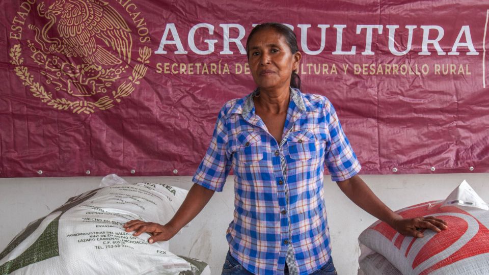 Las y los agricultores han sido los principales beneficiados con fertilizantes y capacitación constante