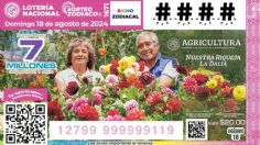 Sorteo del Zodiaco 1671 del domingo 18 de agosto de 2024: Consulta los números ganadores aquí