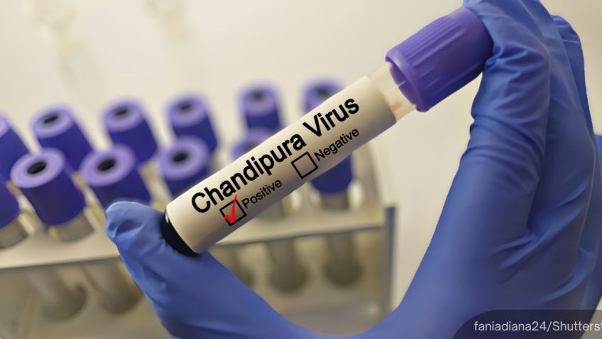 ¿Qué es el virus Chandipura, considerado el más grave de las últimas décadas?