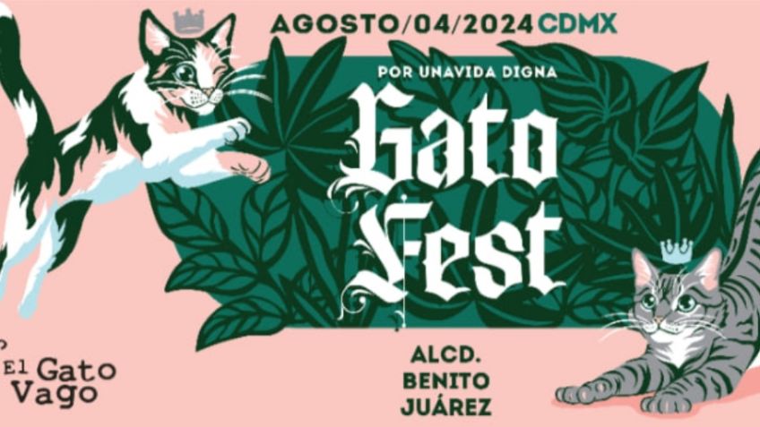 Gato Fest 2023: asiste al festival más esperado para los michi lovers de la CDMX y ayuda a más de 2 mil gatitos sin hogar