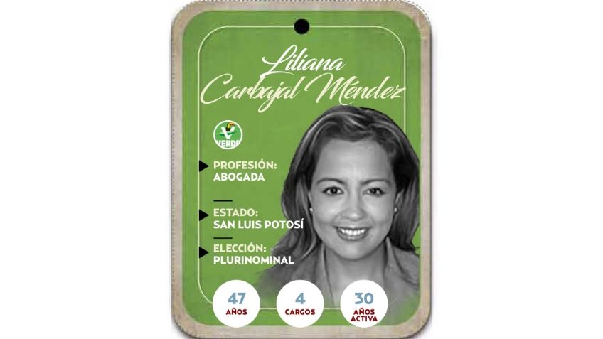 ¿Quién es Liliana Carbajal Méndez? Diputada por vía plurinominal del PVEM