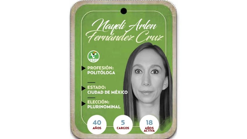 ¿Quién es Nayeli Arlen Fernández Cruz? Diputada por vía plurinominal del PVEM