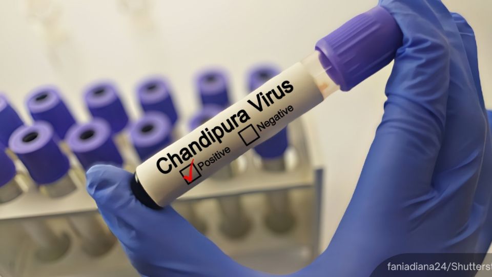 El virus Chandipura (CHPV) es considerando el brote más grave de las últimas décadas.