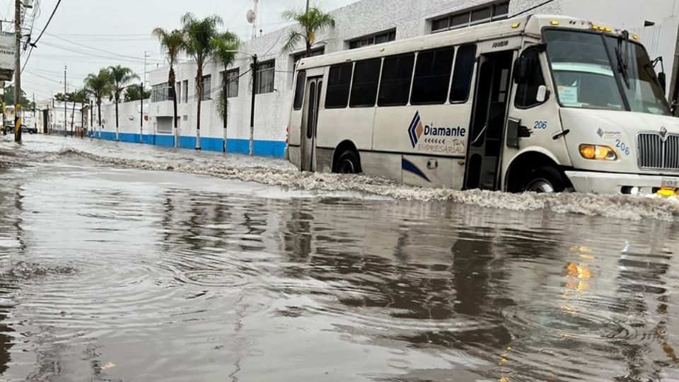 Estas unidades sufren descomposturas de manera frecuente en la ciudad