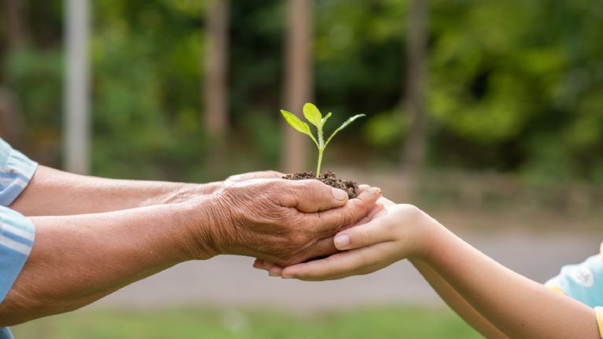 5 canciones para crear conciencia sobre el cuidado al Medio Ambiente