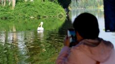 ¡Lánzate a visitarlos! Los lagos de la CDMX, que no son Chapultepec, ideales para disfrutar el fin de semana