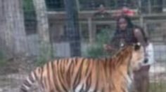 VIDEO: Una mujer salta valla para molestar a un tigre de 227 kilos en zoológico y después escapa