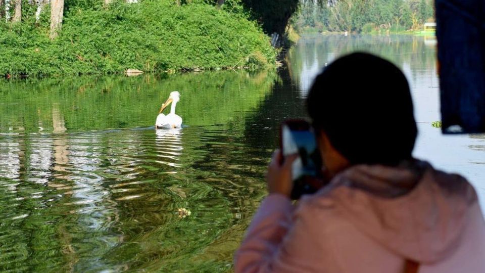 Además de los recorridos podrás ver maravillosas aves de cerca.