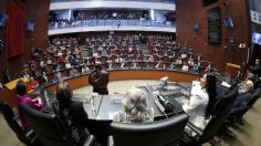 Qué son los plurinominales, los legisladores que perfilan definir la mayoría de la 4T en el Congreso