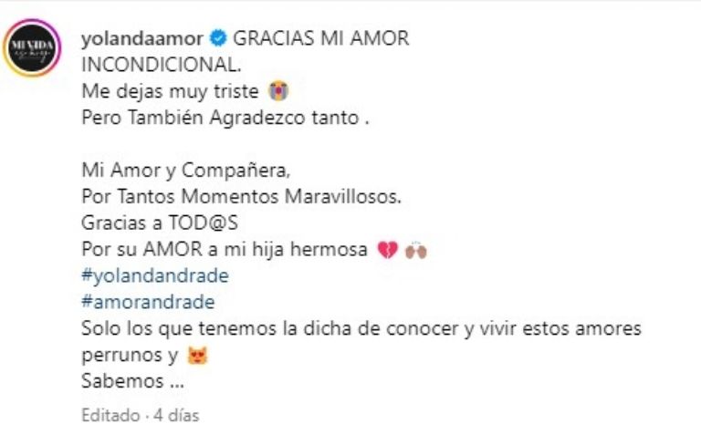 yolanda andrade muerte perrito