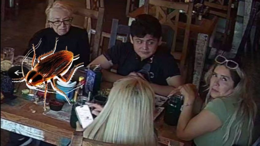 Familia  intenta engañar con una cucaracha a un restaurante en Guadalajara para comer gratis: VIDEO