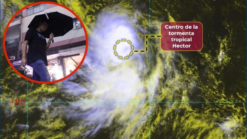 Ciclón Héctor: se forma tormenta tropical en el Océano Pacífico: ¿afectará a México?