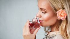 Conoce los 4 perfumes en aceite y elegantes que más horas duran en el cuerpo