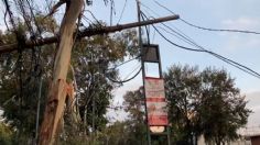 Tráiler tira postes y cables de luz en Tepito