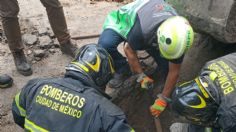 En Azcapotzalco, fuga de gas natural moviliza a servicios de emergencia