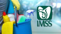 IMSS 2024: ¿Trabajas en el hogar? Así puedes acceder al seguro social, todo lo que debes saber