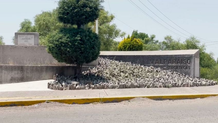 Madres buscadoras localizan un predio en la Sierra del Valparaíso usado como fosa clandestina