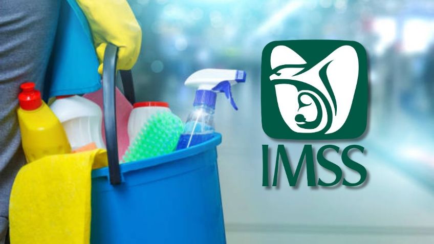 IMSS 2024: ¿Trabajas en el hogar? Así puedes acceder al seguro social, todo lo que debes saber