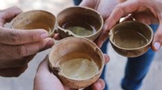 Festival del Pulque, Gastronomía Típica y Mezcal en CDMX, fecha y costos