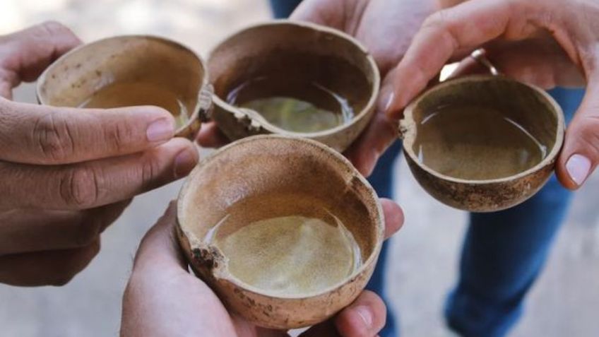 Festival del Pulque, Gastronomía Típica y Mezcal en CDMX, fecha y costos