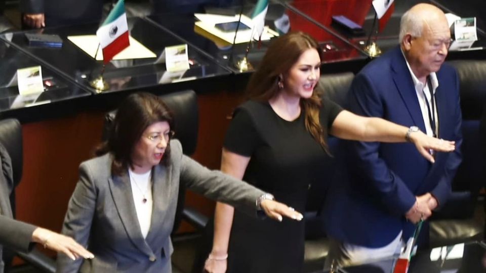 La senadora Gutiérrez Escalante emitió su voto por cédula, al igual que los 127 senadores presentes, para aprobar la integración de la Mesa Directiva