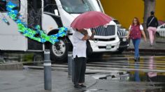 Tormentas Daniel y Debby: este es el pronóstico de lluvias estado por estado para el domingo 4 de agosto | MAPA