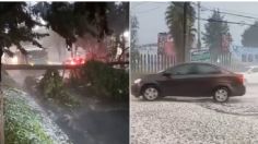 Fuertes lluvias en CDMX: reportan caída de árbol sobre Avenida Desierto de los Leones tras granizada