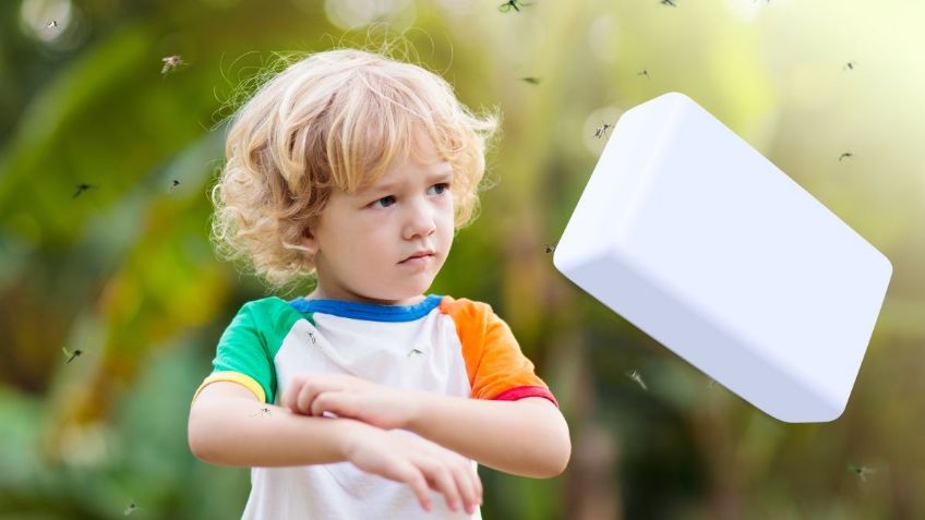 El truco casero con jabón Zote para eliminar los mosquitos de tu casa que pocos conocen