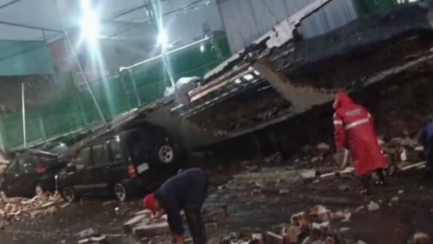 VIDEO: Momento exacto en que cae un árbol por fuertes lluvias en Naucalpan