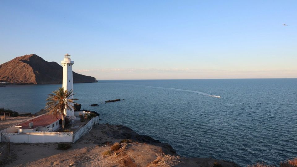 Conoce algunos de los atractivos de Baja California durante su visita a la Ciudad de México.