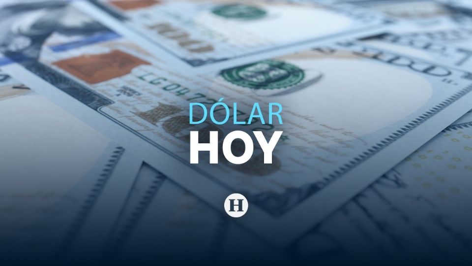 Así se encuentre el precio del dólar hoy domingo 4 de agosto 2024