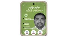 ¿Quién es Alejandro Avilés Álvarez? Diputado por Representación Proporcional del PVEM