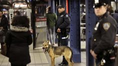 Dos mexicanas son arrojadas a las vías del Metro en Nueva York por una mujer con largo historial criminal