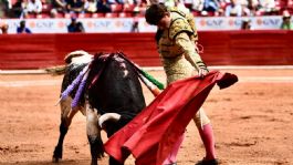 Foto que representa a Verónica Delgadillo pide legislar contra corridas de toros