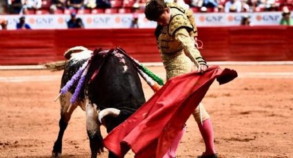 Verónica Delgadillo pide legislar contra corridas de toros