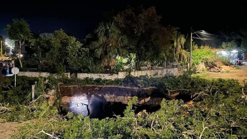 Se desploma bóveda de cenote y se “traga” una ceiba en Yucatán