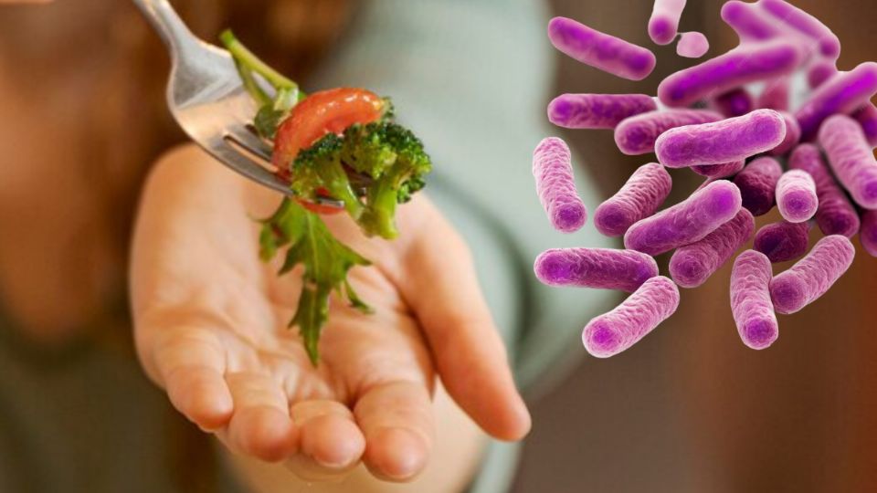 E. Coli se transmite principalmente por una mala desinfección de verduras, frutas y manos