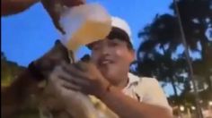 ¡Indignante! Jóvenes obligan a perrito de la calle a beber alcohol en Yucatán