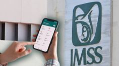 En la palma de tu mano: ¿Cómo sacar vigencia actualizada del IMSS?