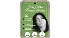 ¿Quién es Celia Esther Fonseca Galicia? Diputada por vía plurinominal del PVEM