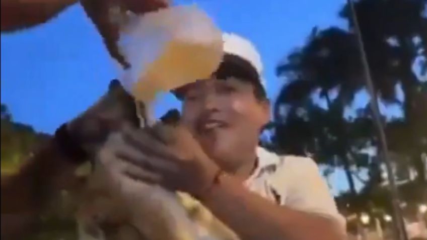 ¡Indignante! Jóvenes obligan a perrito de la calle a beber alcohol en Yucatán