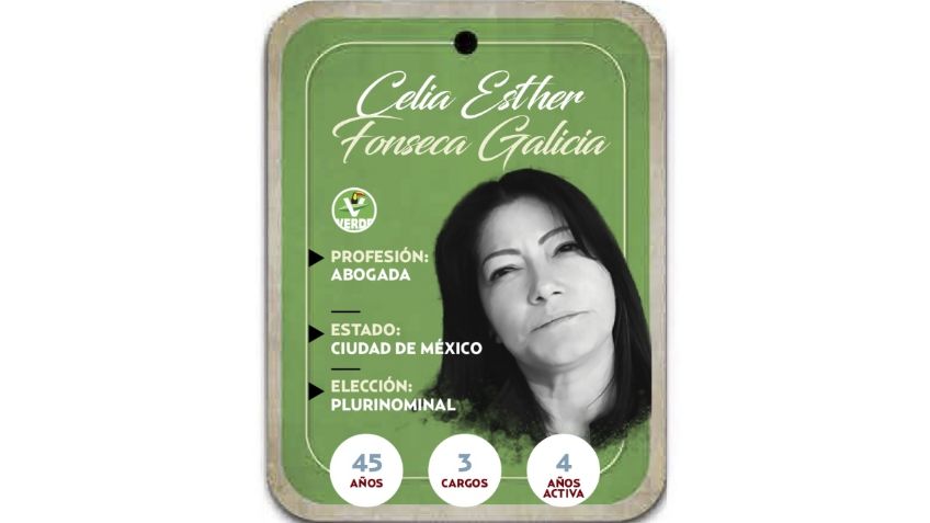 ¿Quién es Celia Esther Fonseca Galicia? Diputada por vía plurinominal del PVEM