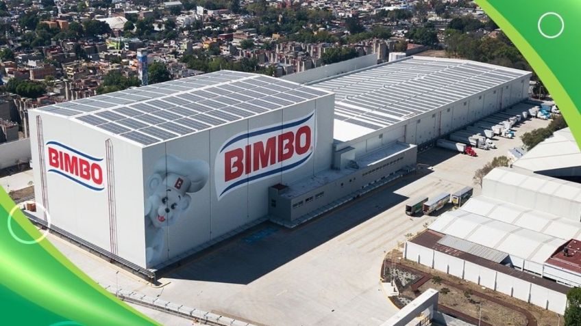 Bimbo lanza nuevas vacantes con salarios mensuales de 8 mil a 26 mil 600 pesos, así puedes aplicar