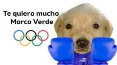 Los mejores MEMES de Marco Verde tras lograr la medalla de plata en los Juegos Olímpicos