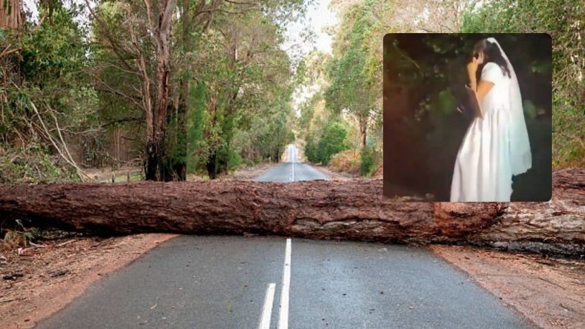 VIDEO: novia queda varada en la México-Cuernavaca por un árbol caído y su emotiva reacción rompe internet