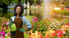 Haz un pesticida casero que dejará tus flores florecientes y sin plagas los 365 días