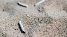 Día Mundial de las Playas: colillas de cigarro y el daño ambiental que generan en los océanos